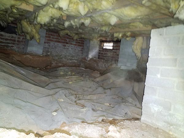 A crawl space with hanging insulation