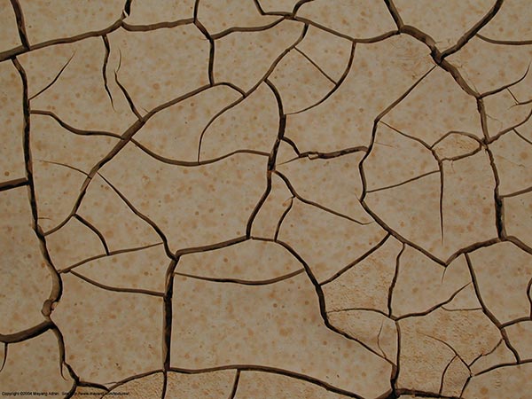 Cracks appearing in dried mud